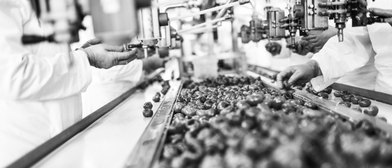 SINGLE-IMAGE_fruit-on-production-line_nov23