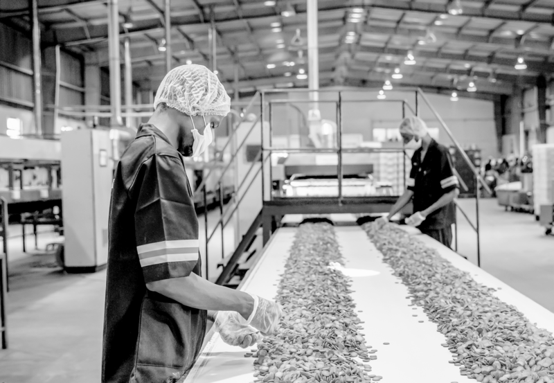 SINGLE-IMAGE_worker-checking-biscuits-on-conveyor_nov23