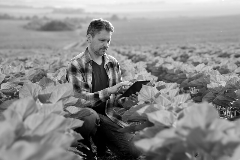 SINGLE-IMAGE_man-tablet-crops_aug23